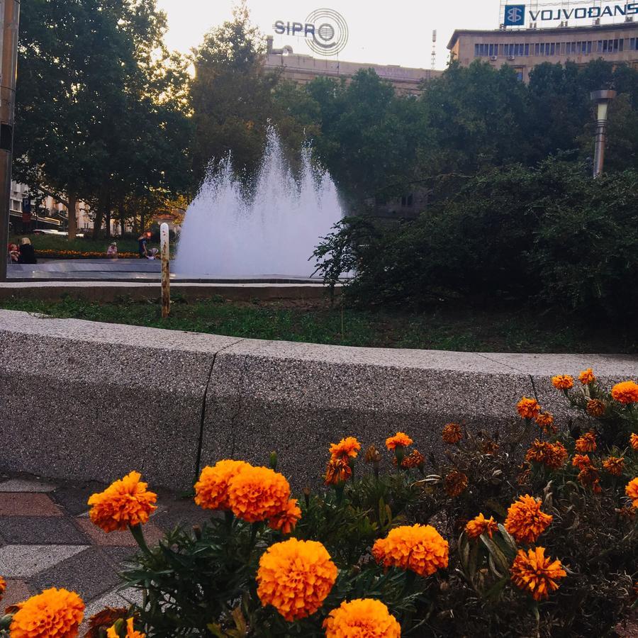 Sunrise Apartment Beograd Ngoại thất bức ảnh